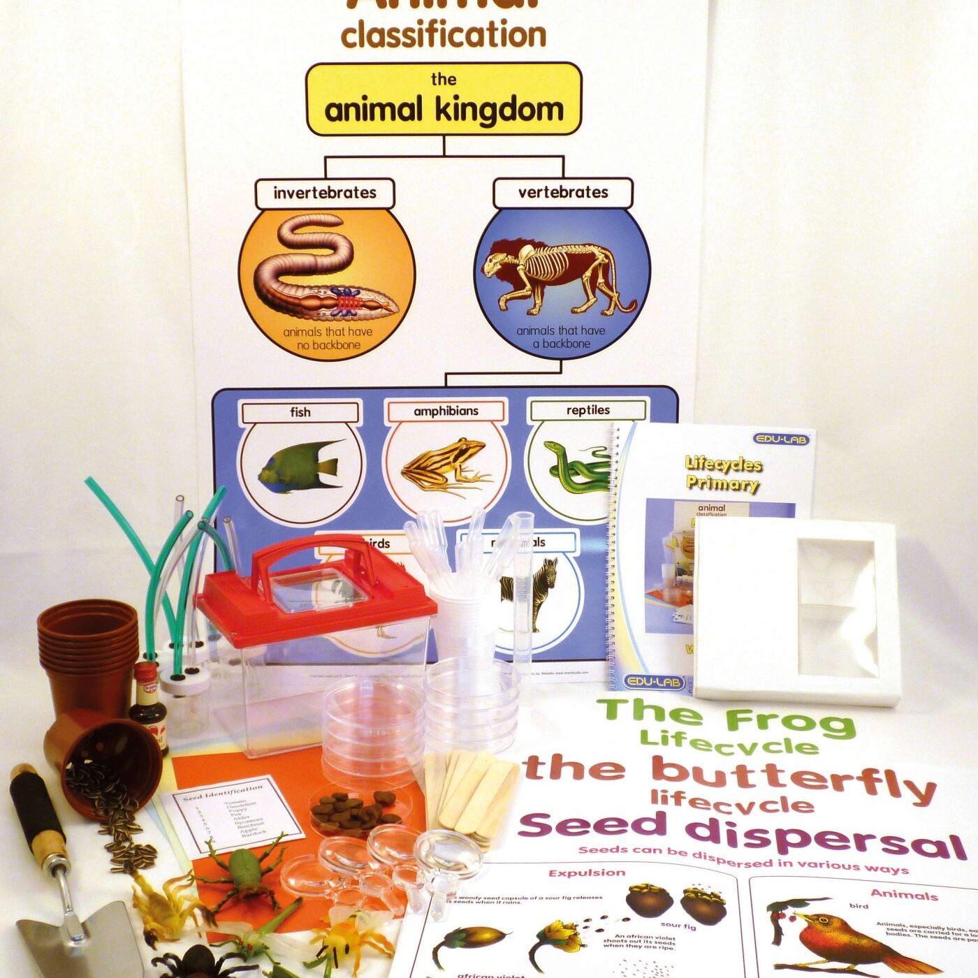 tts Набір для вивченняжиттєвих циклів Life Cycles Experiments Class Kit
